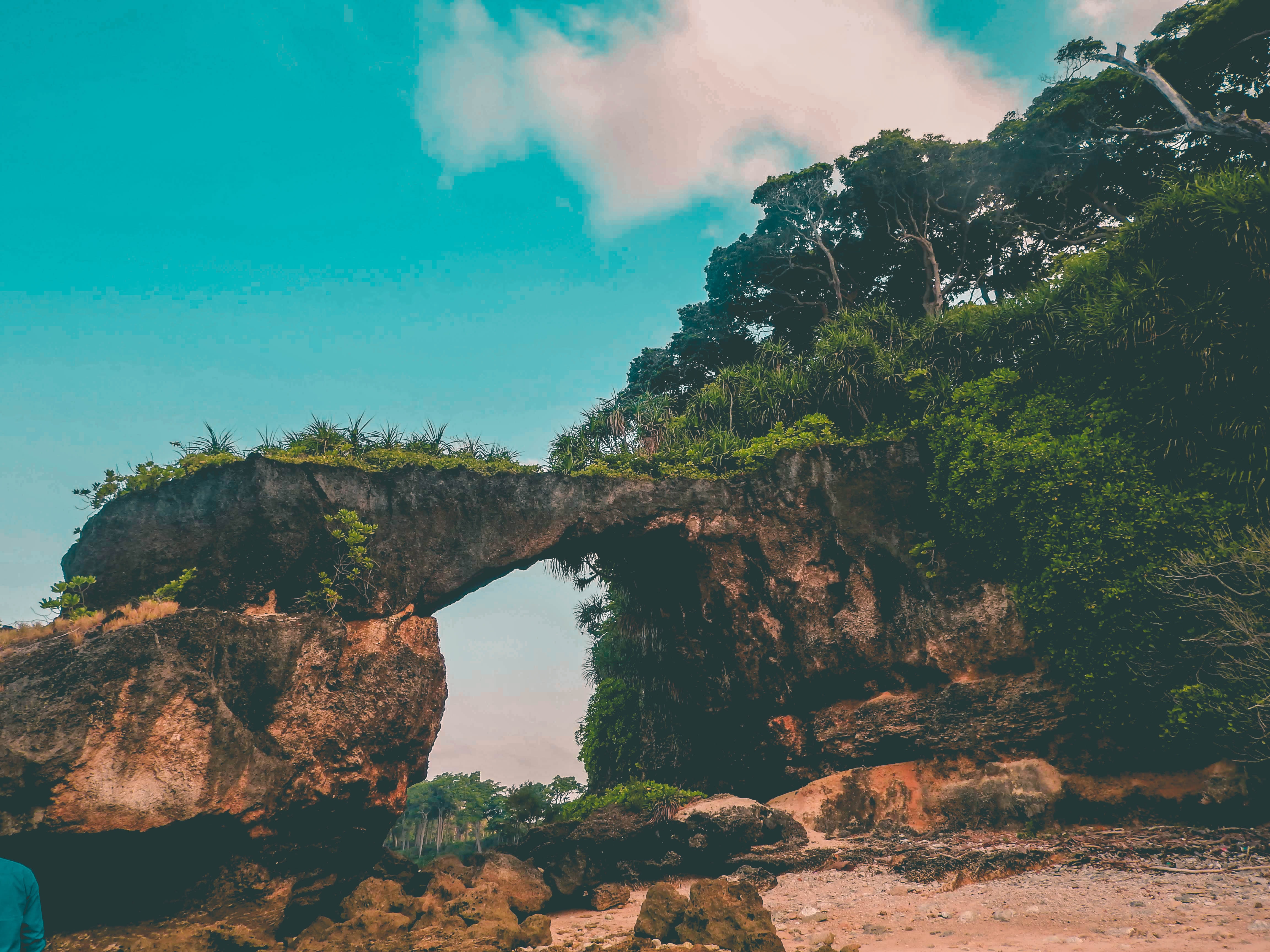 Way2Packers in Andaman and Nicobar Islands