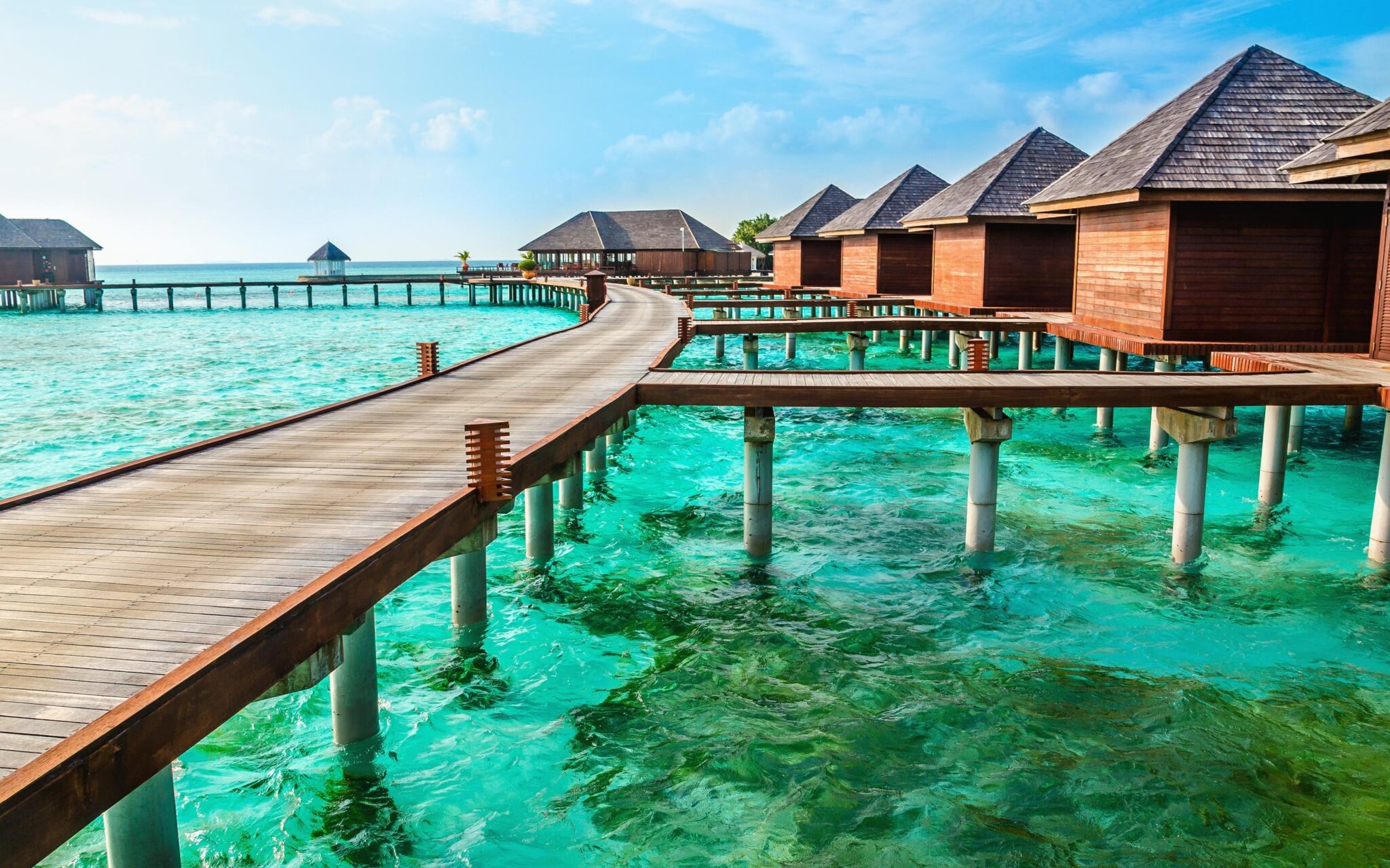 Way2Packers in Lakshadweep