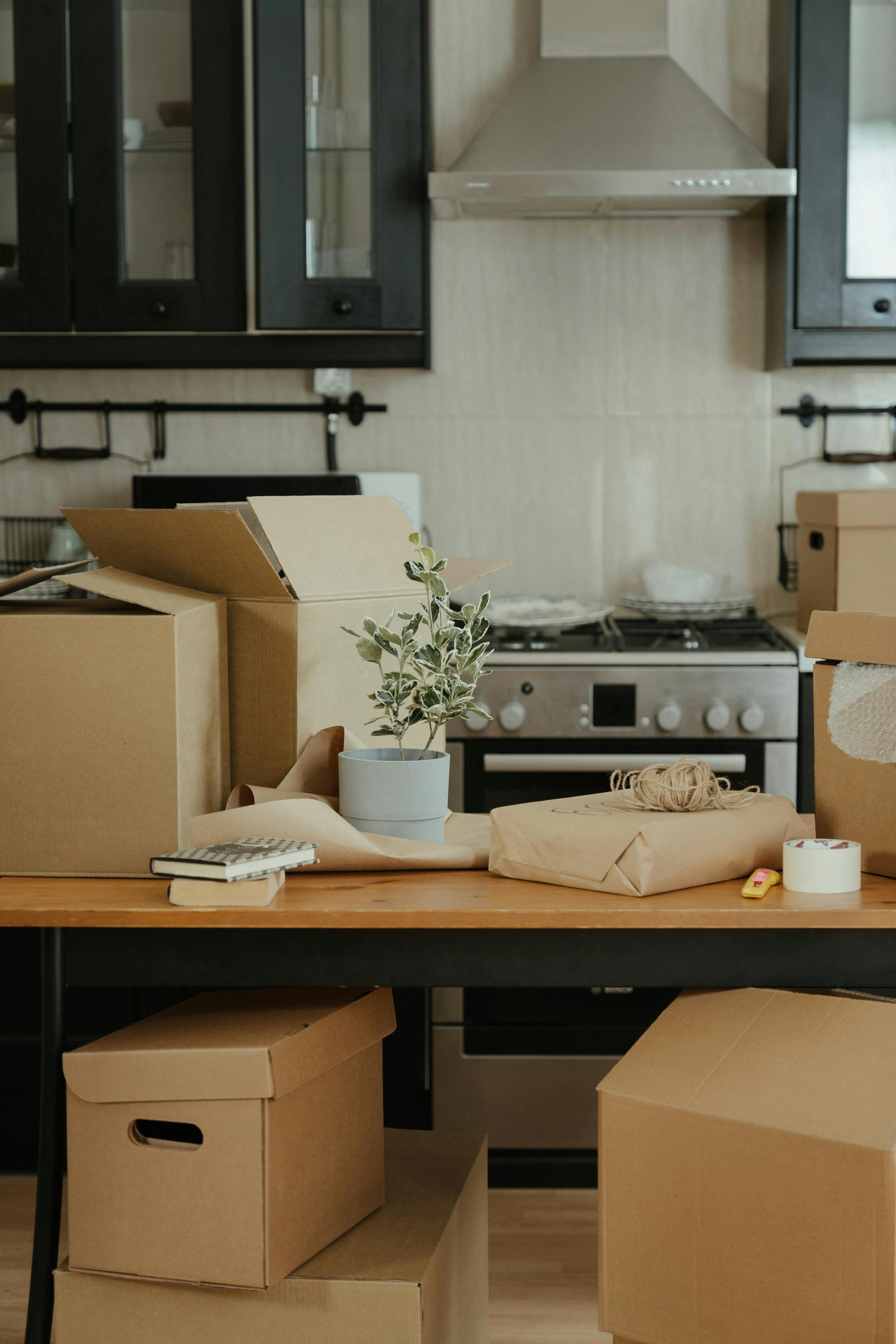 Professional household services - Professional packing boxes for household items